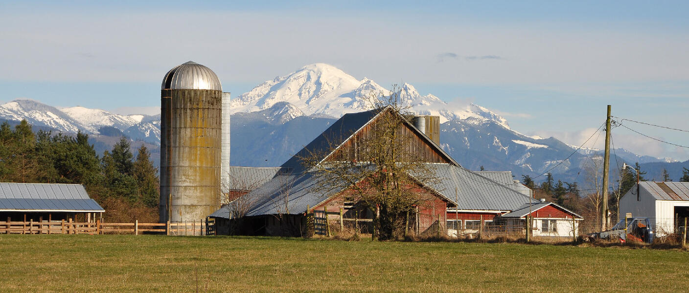 Mt. Rainier & Barn